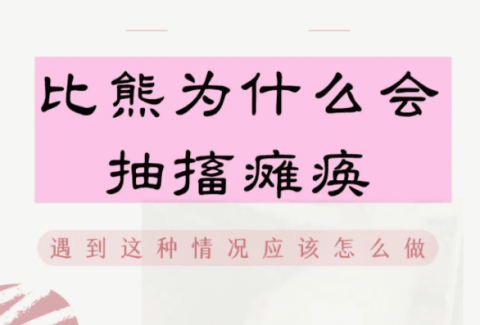 比熊抽搐瘫痪原因和症状‼比熊神经炎怎么治？