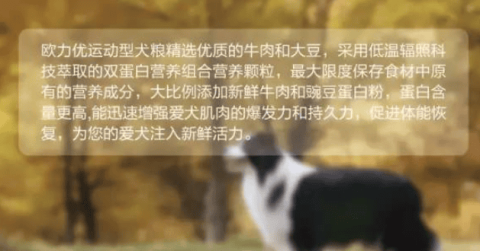 欧力优：源自欧洲——双蛋白运动型全系列犬猫粮