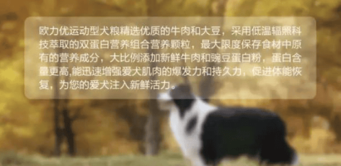 欧力优：源自欧洲 双蛋白运动型系列犬猫粮