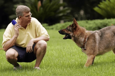 训犬师工作是不是很难找