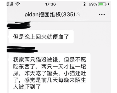 小众品牌一朝毁，pidan步步错遭暴击 | 看案例