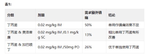 在猫中应用加巴喷丁 —— 确保正确剂量