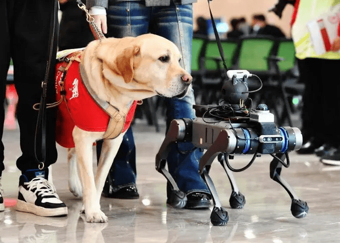 电子导盲犬的优点缺点