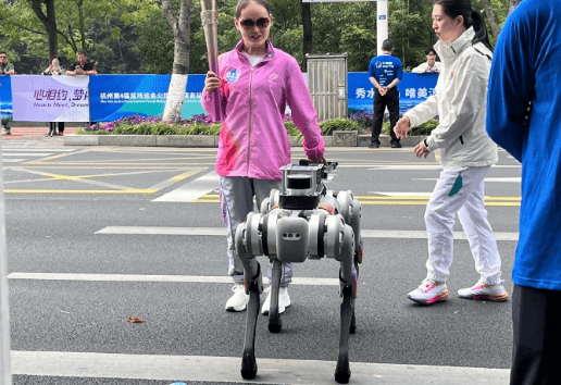 电子导盲犬的设计原理与实现