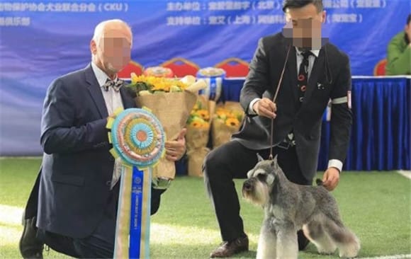 牵犬师资格证怎么考