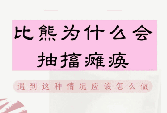 比熊抽搐瘫痪原因和症状‼比熊神经炎怎么治？