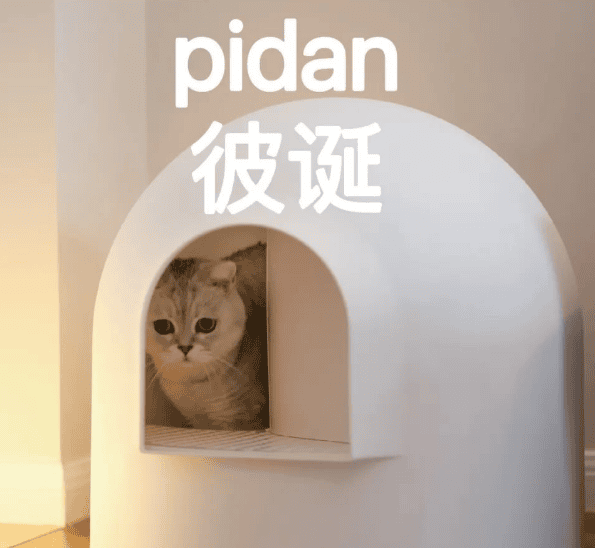 pidan｜高效供应链成4亿销量美好宠物生活