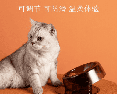 小红栗喂食碗：为你的猫咪带来更好的用餐体验