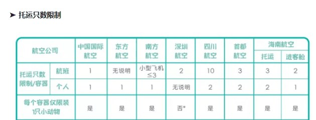 宠在旅途——宠物托运需要注意的事项