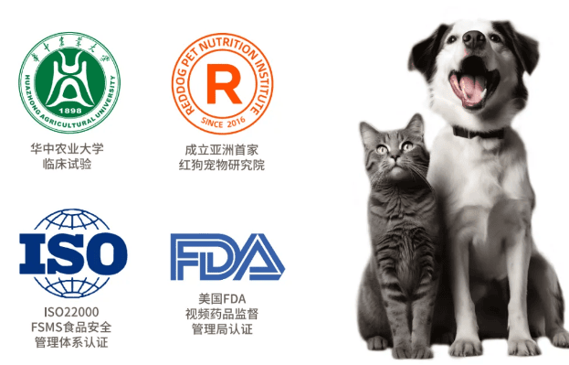 RedDog红狗 X 全心犬意| 用爱驱散炎夏的酷热