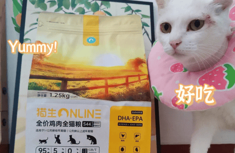 宠倪欢猫粮价格