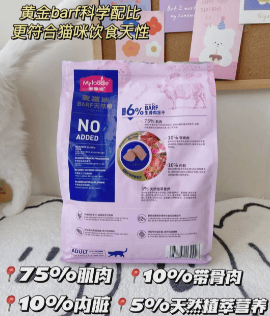 8个月猫怀孕了应该注意啥-如何照顾好怀孕的猫咪