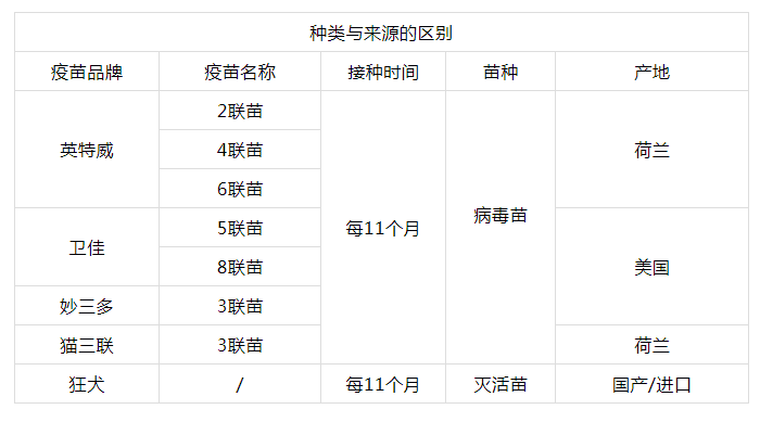 探宠·宠物 I 如何正确认识疫苗？探宠来咯！