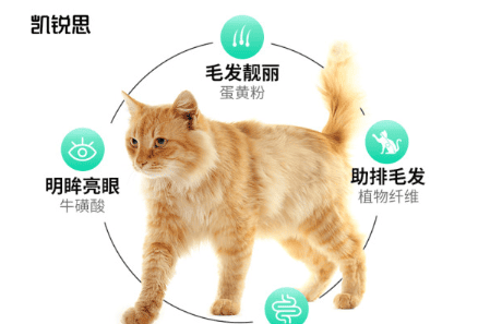 凯锐思猫粮：美味与健康，猫咪的绝佳选择 