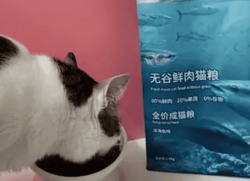 七种鱼猫粮属于什么粮