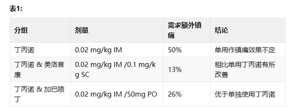 在猫中应用加巴喷丁 —— 确保正确剂量